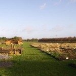 The biodynamic garden at West Jutlands High School