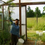 kate in greenhouse