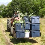 Richard on tractor