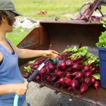 Sarah washing beets