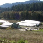 Hayhurst valley Organic Farm