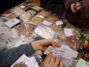 Seeds offered at a seed swap